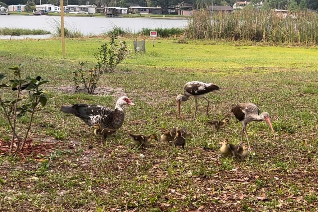 Lakeside Retreat - 3 Bedroom, 2 Bathroom House By The Lake Lakeland Exterior foto